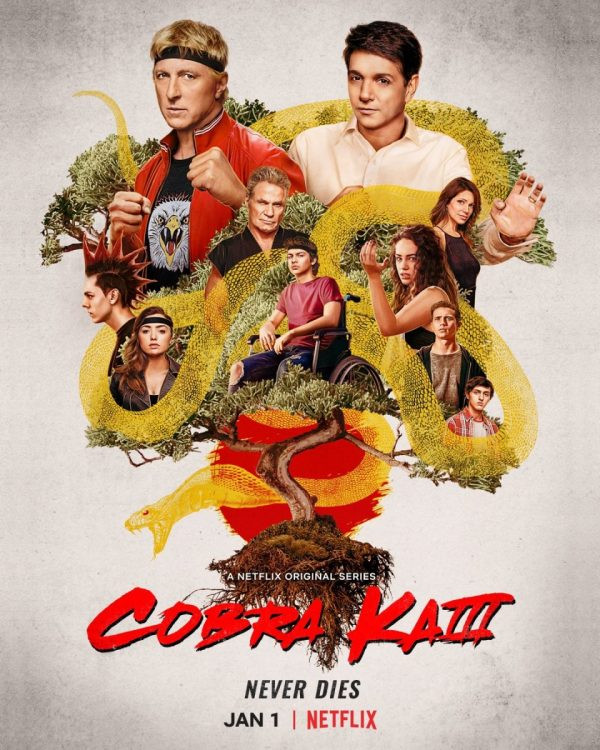 مسلسل Cobra Kai الموسم الثالث الحلقة 6 السادسة مترجمة