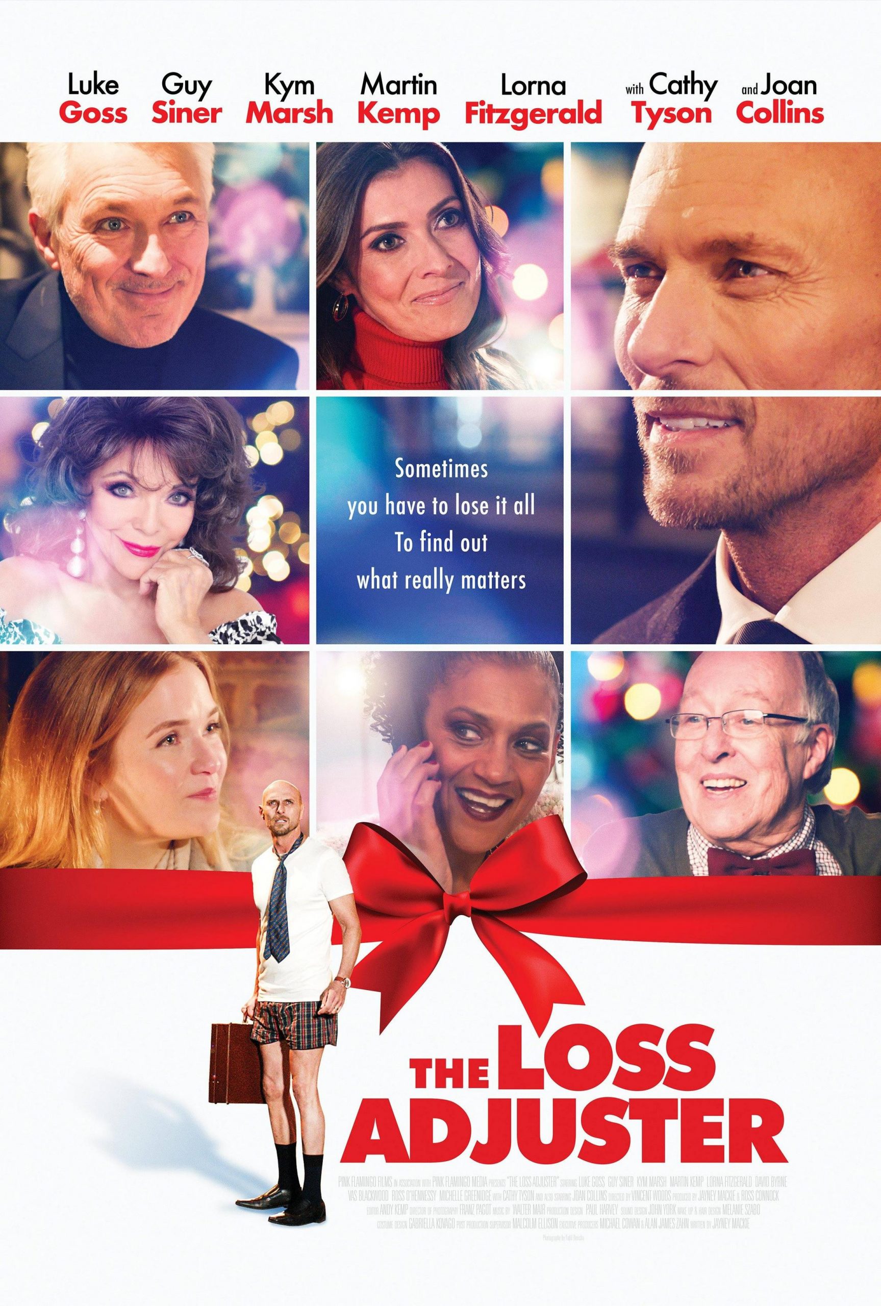 فيلم The Loss Adjuster 2020 مترجم اون لاين