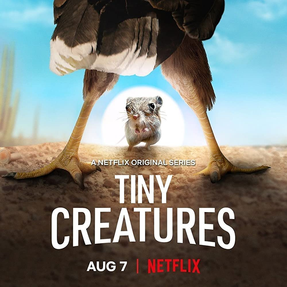 مسلسل Tiny Creatures الموسم الاول الحلقة 3 الثالثة مترجمة