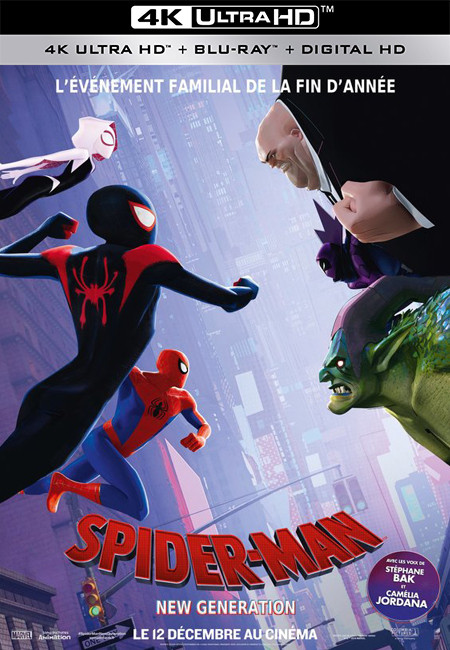 فيلم Spider-Man Into the Spider-Verse 2018 4K BluRay مترجم اون لاين