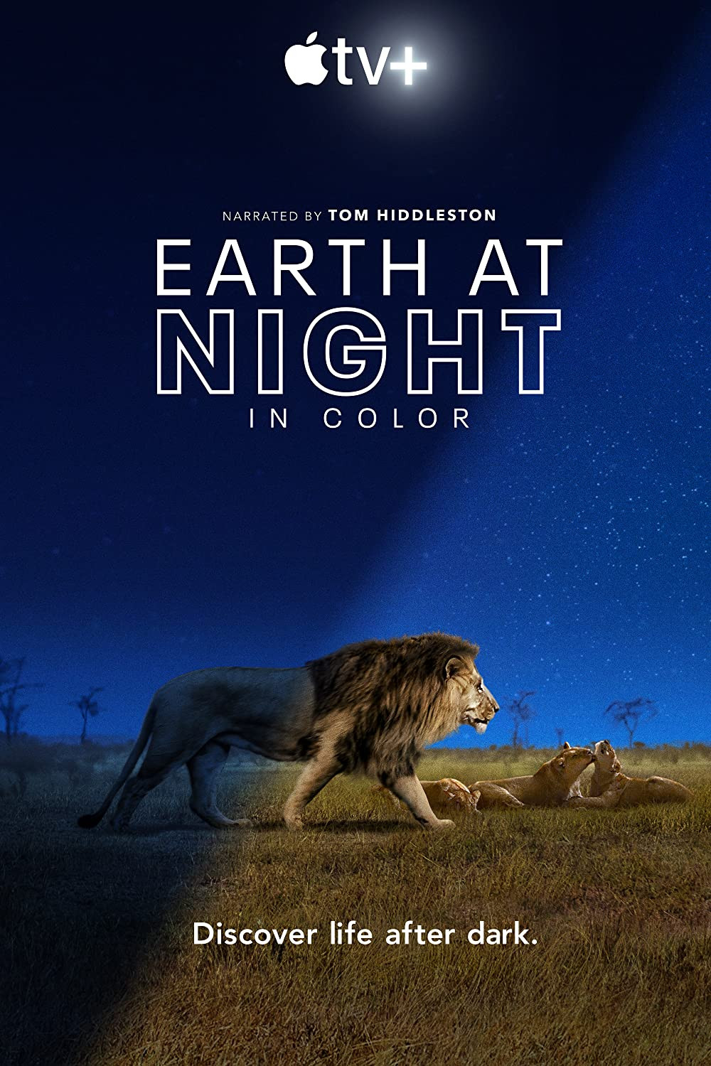 مسلسل Earth at Night in Color الموسم الاول الحلقة 1 الاولي مترجمة