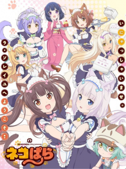 Nekopara الموسم 1 الحلقة 9 مترجم