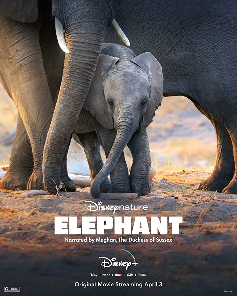 فيلم Elephant 2020 مترجم اون لاين