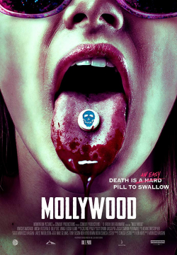 Mollywood 2019 مترجم