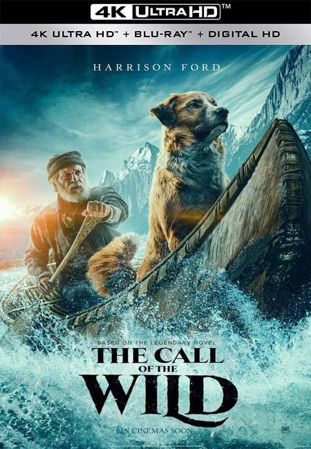 فيلم The Call of the Wild 2020 4K BluRay مترجم اون لاين