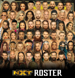 WWE NXT 08.01.2020 مترجم