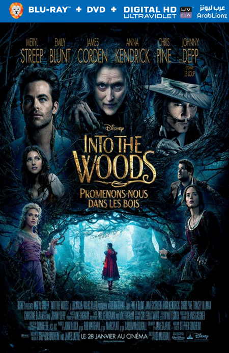 مشاهدة فيلم Into the Woods 2014 مترجم اون لاين