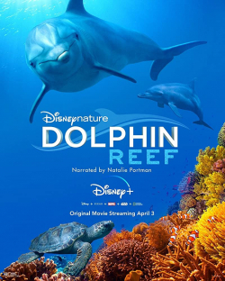 Dolphin Reef 2020 مترجم