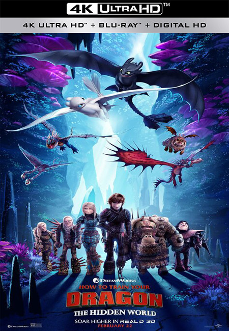 فيلم How to Train Your Dragon The Hidden World 2019 4K BluRay مترجم اون لاين