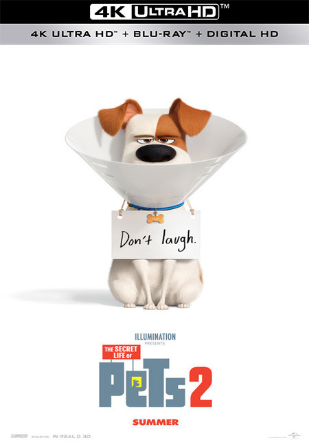 فيلم The Secret Life of Pets 2 2019 4K BluRay مترجم اون لاين