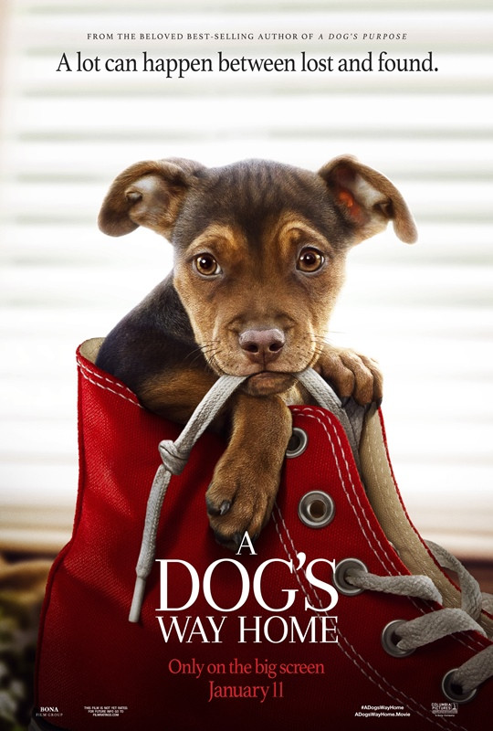 فيلم A Dog’s Way Home 2019 مترجم اون لاين