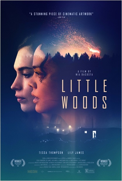 فيلم Little Woods 2018 مترجم اون لاين