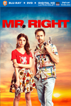 Mr. Right 2015 مترجم