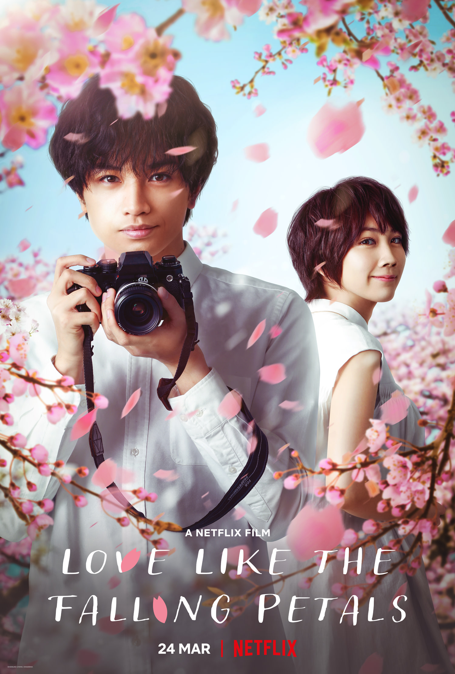 مشاهدة فيلم Love Like the Falling Petals 2022 مترجم اون لاين