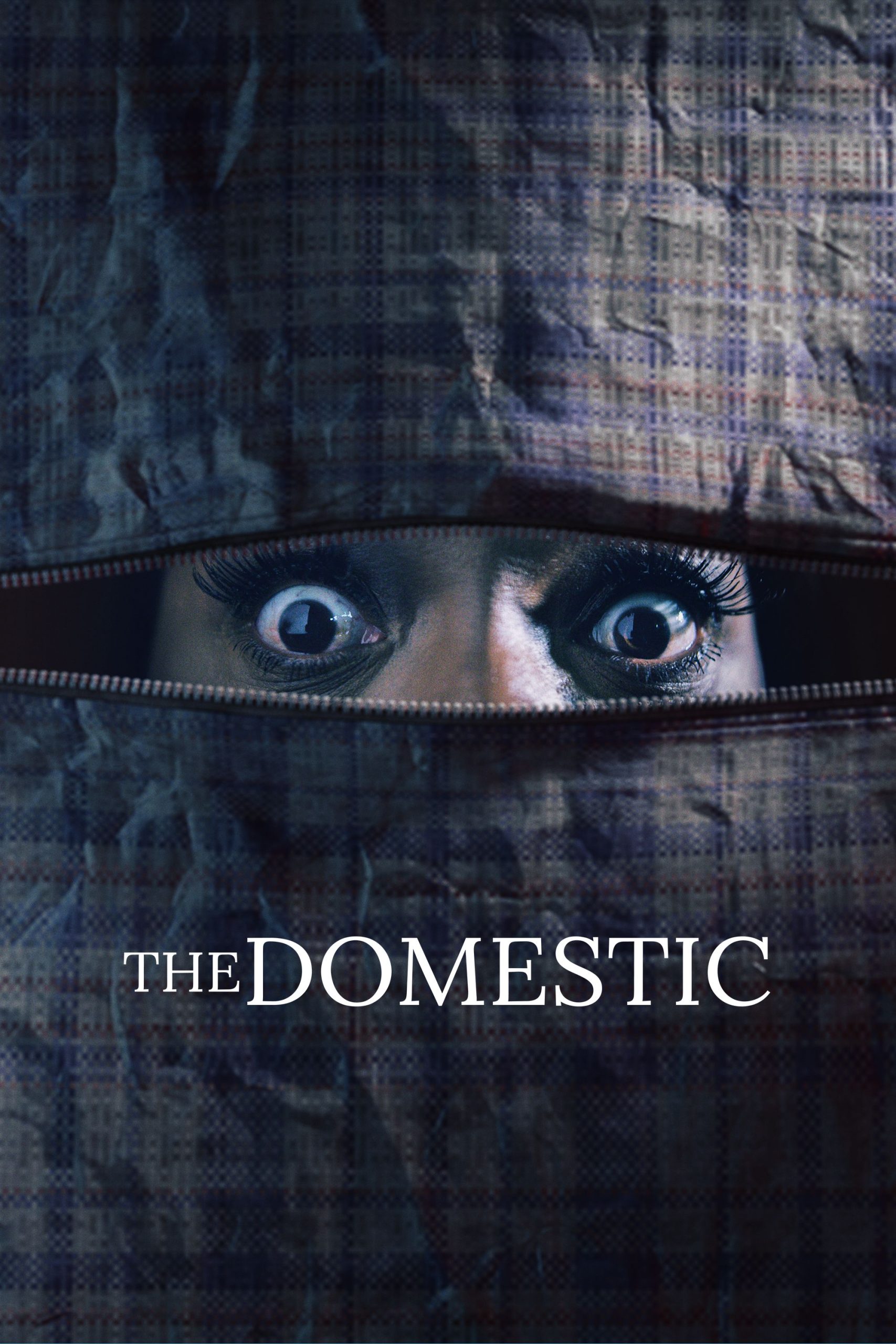 مشاهدة فيلم The Domestic 2022 مترجم اون لاين