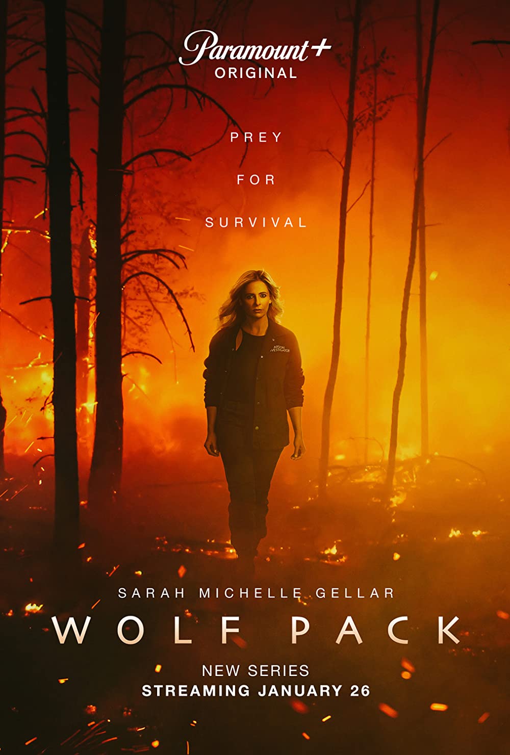 مسلسل Wolf Pack موسم 1 الحلقة 2 مترجمة